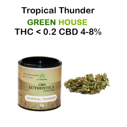 TROPICAL THUNDER - AUTHENTICA