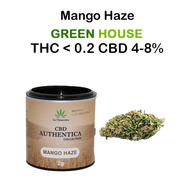 Mango Haze 2g -AUTHENTICA