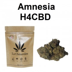 H4CBD AMNESIA 15% - FLEUR...