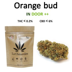 ORANGE BUD - FLEUR DE CBD