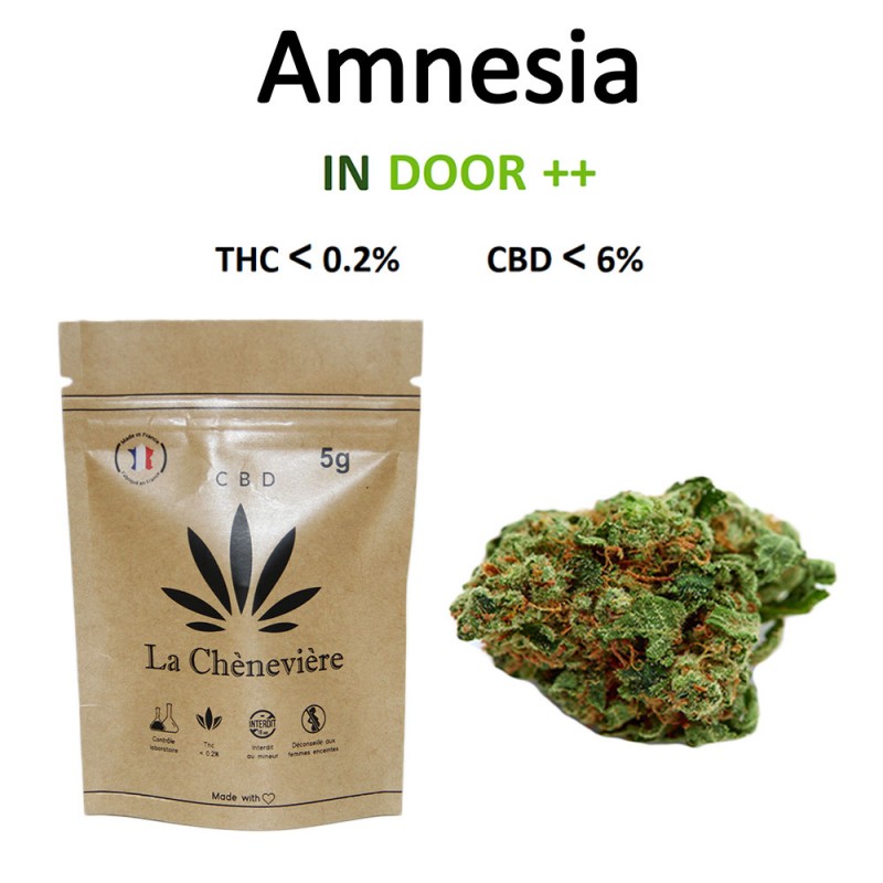 AMNESIA HAZE - FLEUR DE CBD